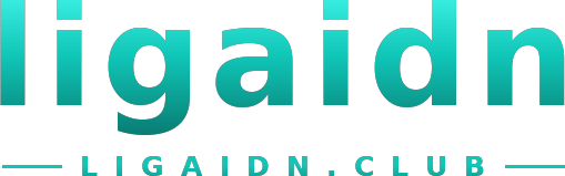 ligaidn logo